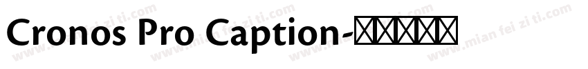 Cronos Pro Caption字体转换